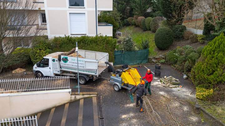 Abattage d'arbre Noisy-le-Grand