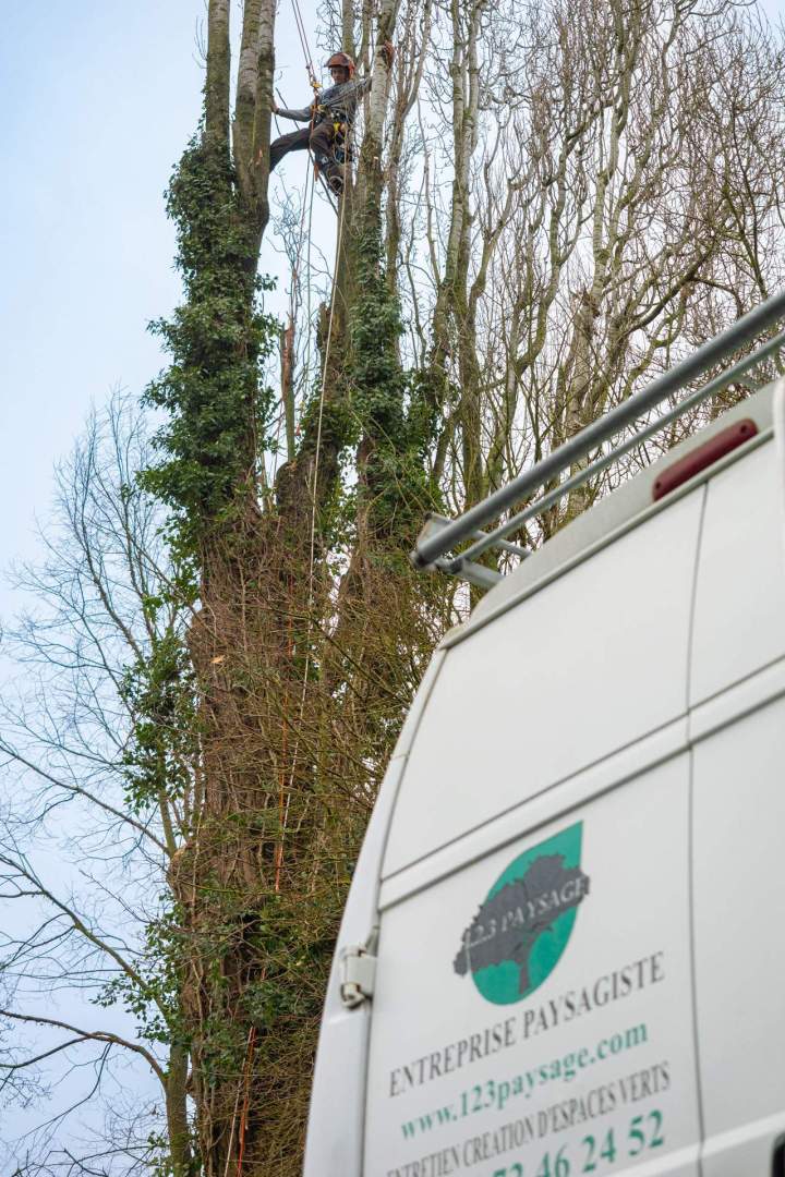 Service d’entretien de jardin à Noisy-le-Grand