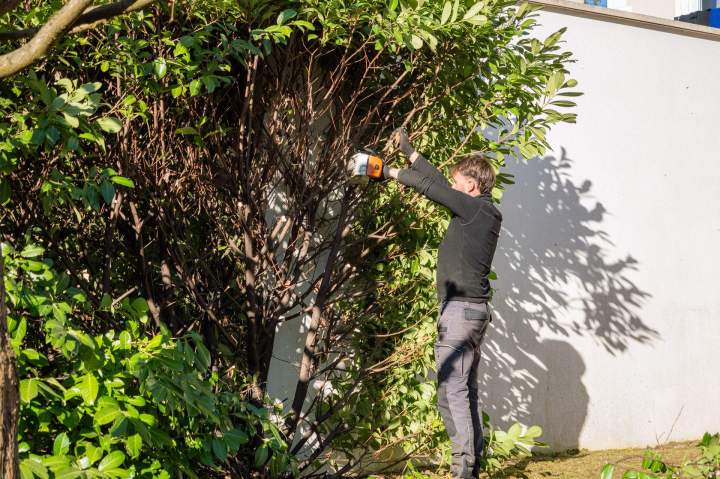 Nous prenons soin de votre jardin