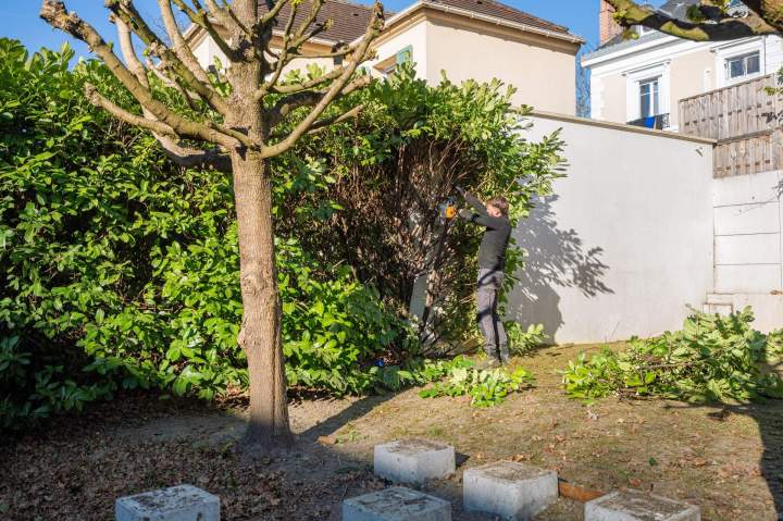 Service d’entretien de jardin à Noisy-le-Grand