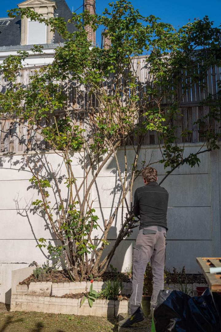 Entretien de jardin Noisy-le-Grand