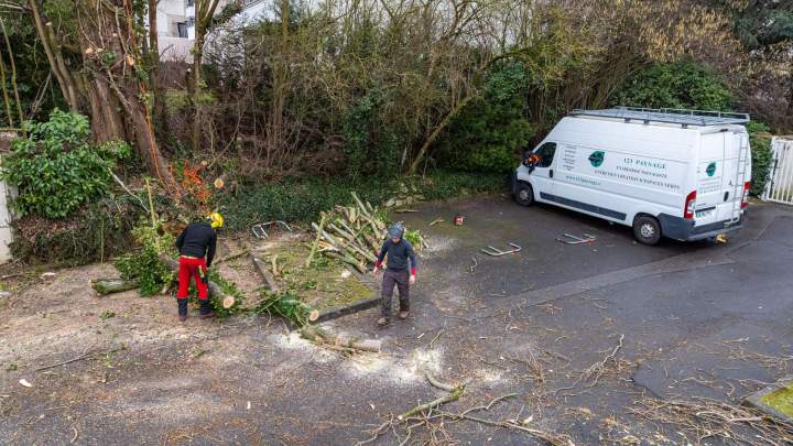 Paysagiste Noisy-le-Grand