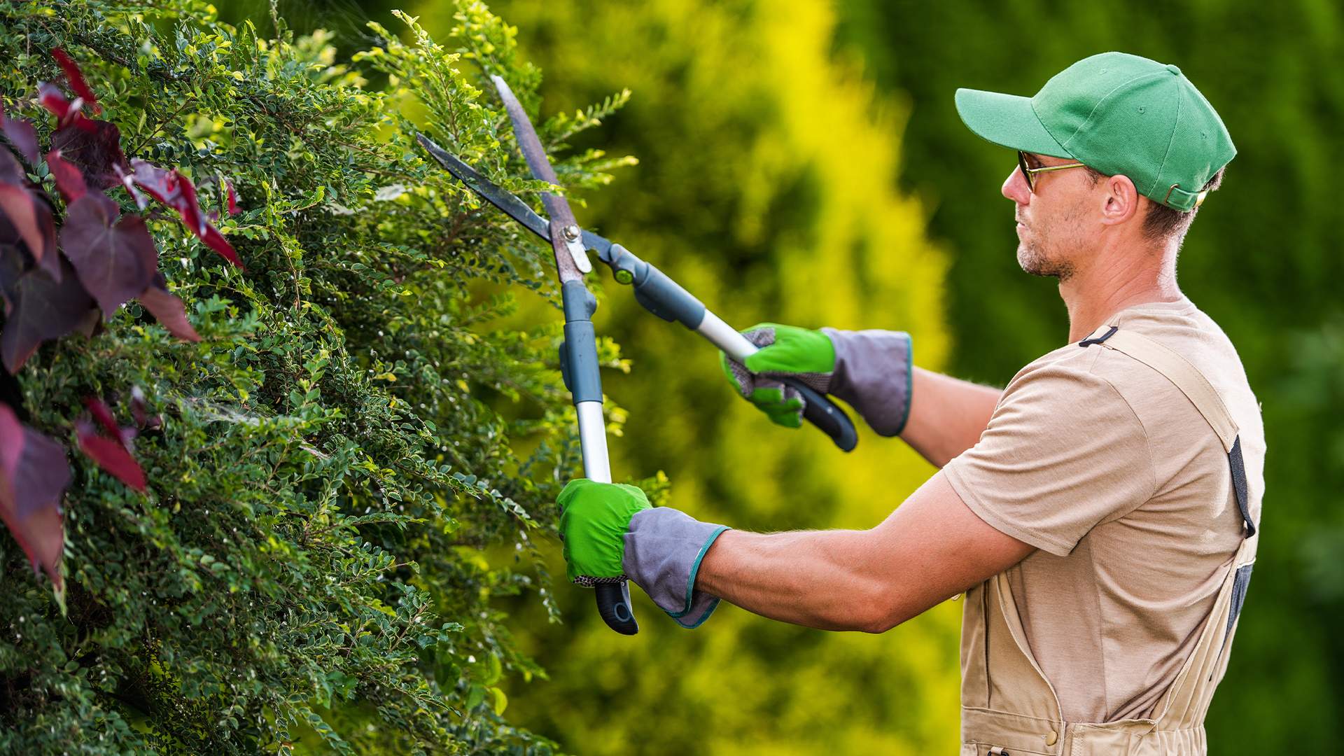 Service d’entretien de jardin à Noisy-le-Grand