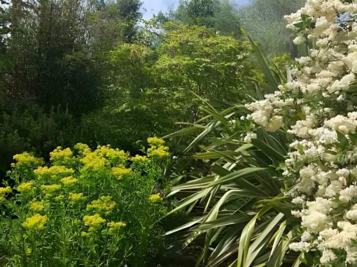 Entretien de jardin Noisy-le-Grand