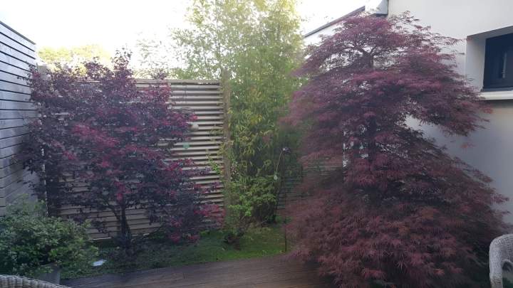 Entretien de jardin Noisy-le-Grand
