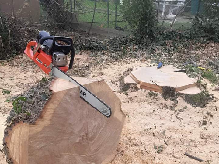 Nos paysagistes maîtrisent toutes les techniques de coupe d’arbre.